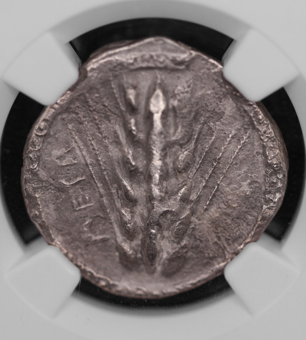 Lucania, Metapontion. 510-470 BC NGC VF