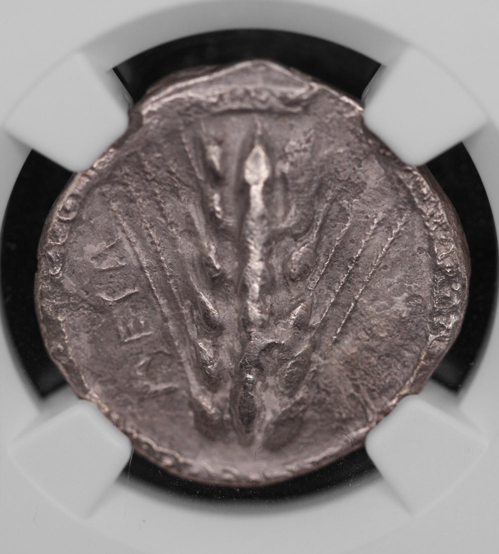 盧卡尼亞，梅​​塔蓬提翁。西元前 510-470 年 NGC VF